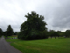 DSC01881