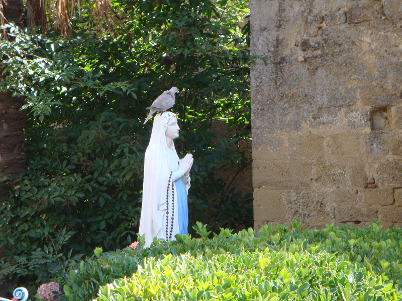DSC00105