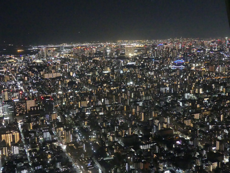 2024-10-19-12h36m30lumix