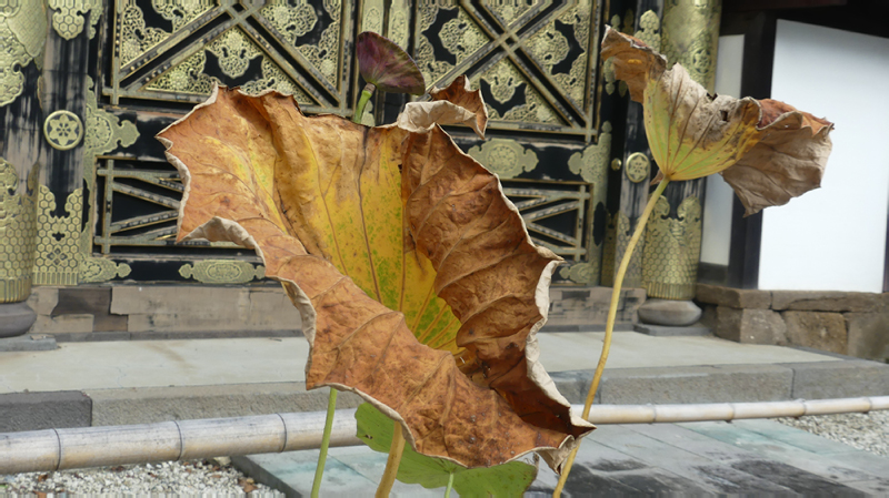 2024-10-20-05h46m06lumix