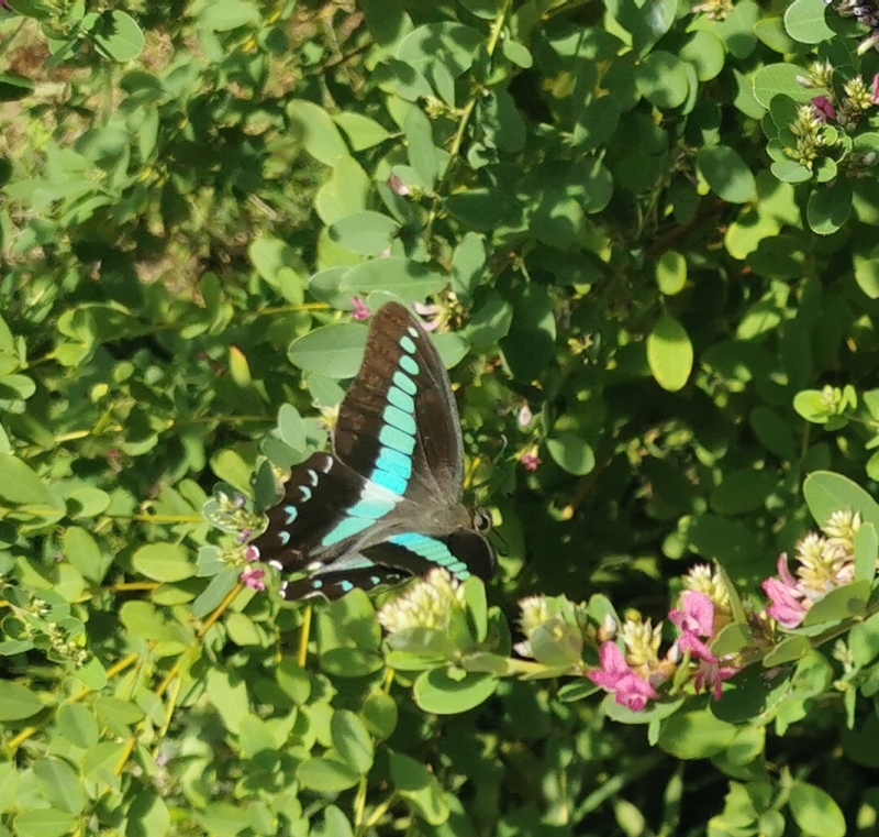 2024-10-20-13h20m59portable