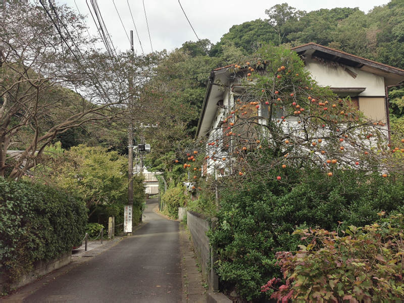 2024-10-21-14h57m58portable