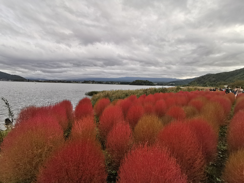 2024-10-22-14h53m26portable