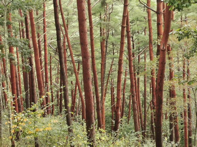 2024-10-23-12h51m44portable