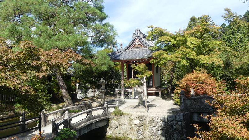 2024-10-24-04h45m18lumix