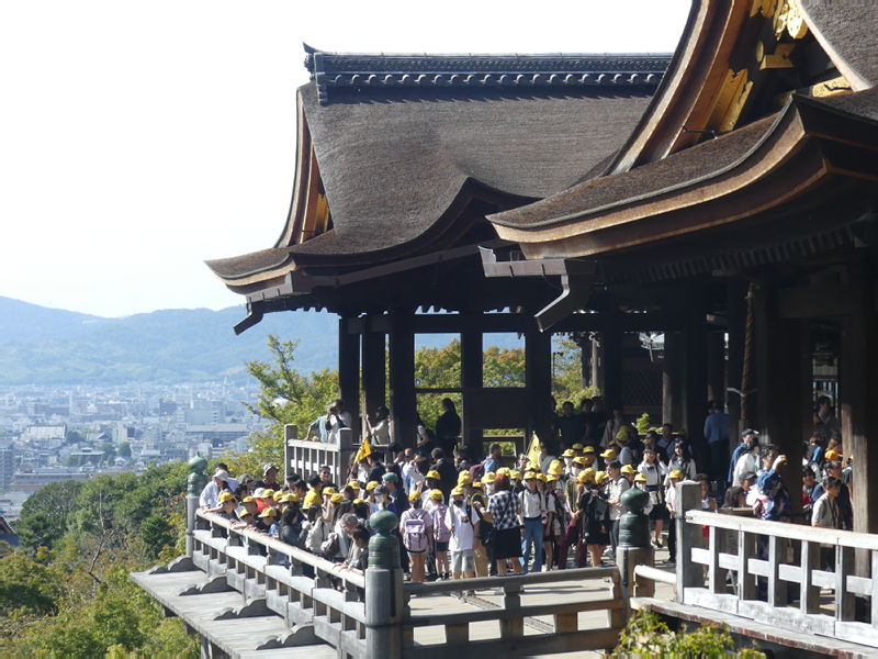 2024-10-24-05h33m55lumix