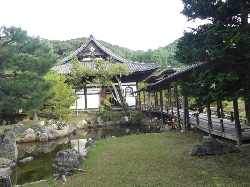 2024-10-24-07h41m46lumix