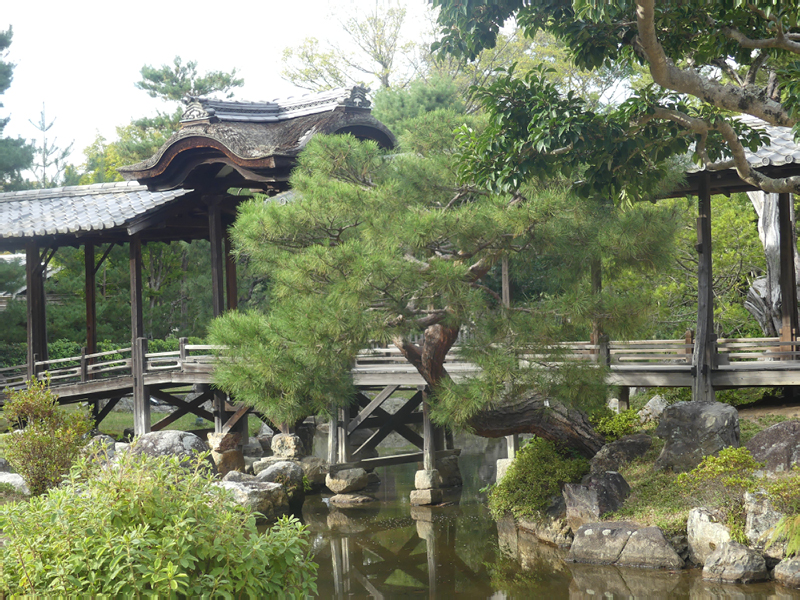 2024-10-24-07h53m43lumix