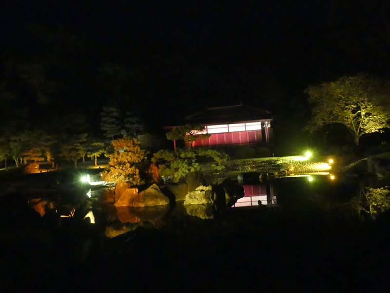 2024-10-24-11h48m24lumix