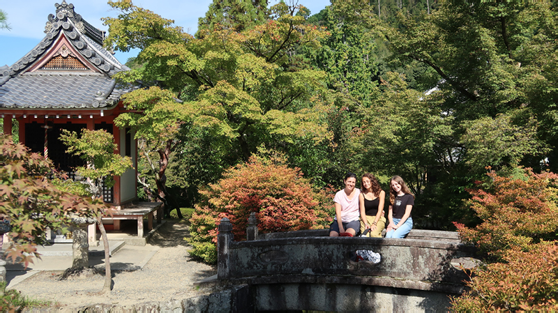 2024-10-25-04h55m31google