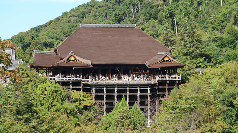 2024-10-25-05h43m41google