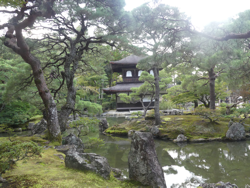 2024-10-25-09h31m11lumix