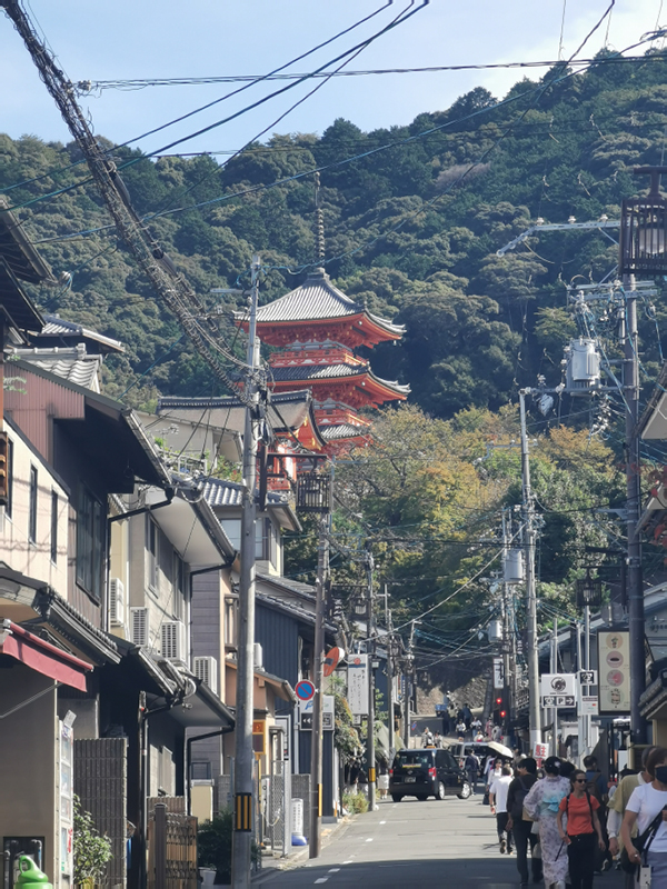 2024-10-25-11h24m19portable