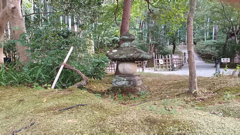 2024-10-25-15h02m48google