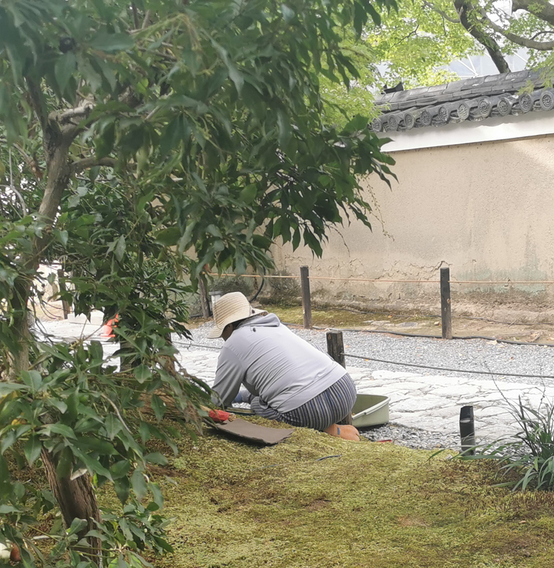 2024-10-25-15h15m51portable