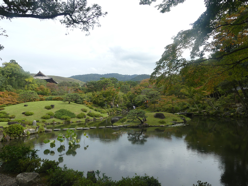 2024-10-26-05h01m29lumix