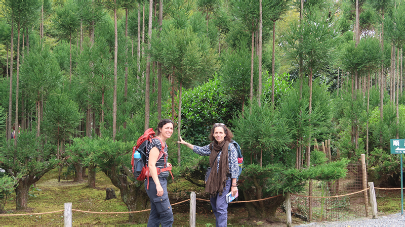 2024-10-26-05h19m27google