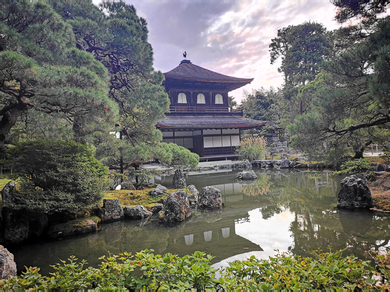 2024-10-26-16h57m07portable