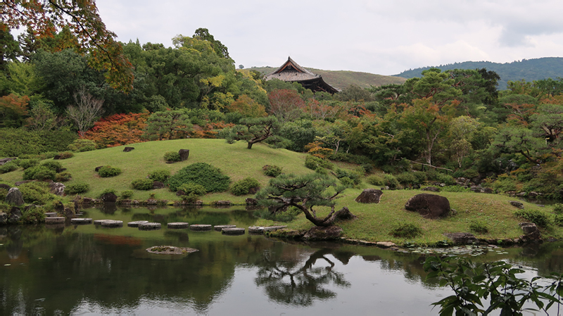 2024-10-27-05h23m51google