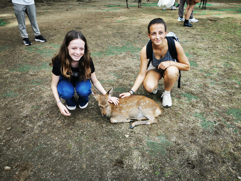 2024-10-27-11h24m14portable