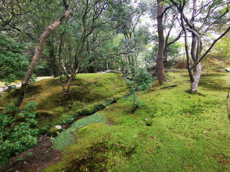 2024-10-27-12h16m24portable