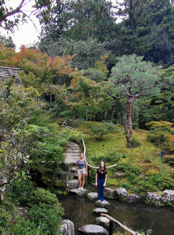 2024-10-27-12h21m37portable