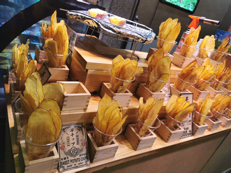 2024-10-28-09h55m56portable