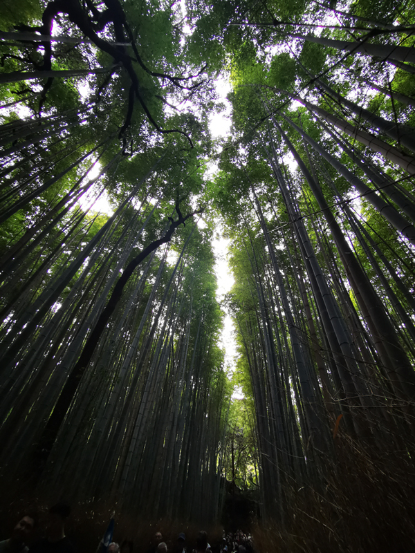 2024-10-28-14h15m12portable