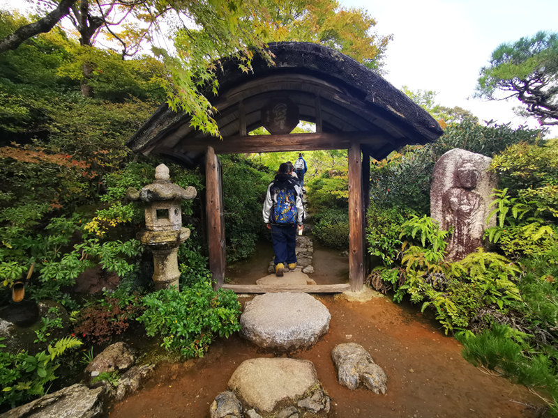 2024-10-28-14h22m42portable