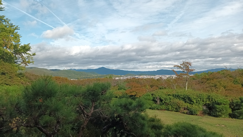 2024-10-28-14h30m43google