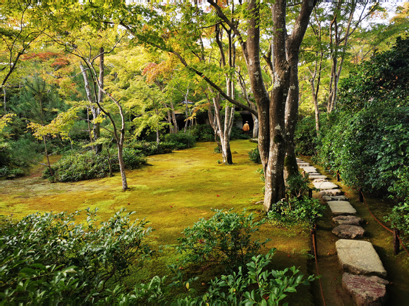 2024-10-28-14h37m09portable