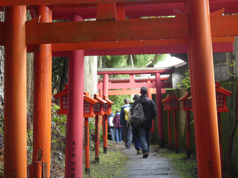 2024-10-29-02h27m34lumix