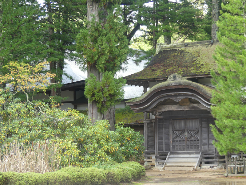 2024-10-29-03h35m37lumix