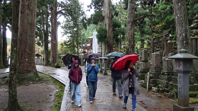 2024-10-29-07h44m08google