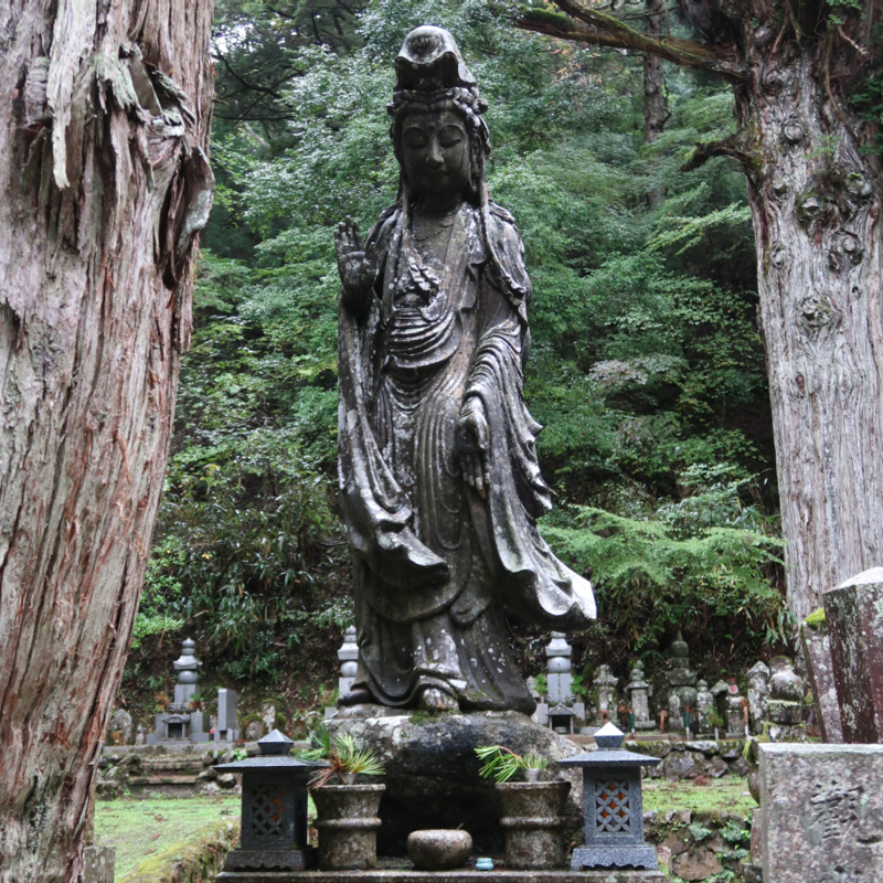 2024-10-29-07h57m29google