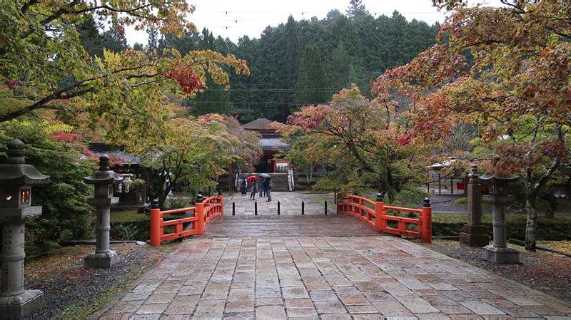 2024-10-29-08h26m38google