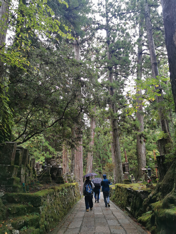 2024-10-29-14h49m55portable