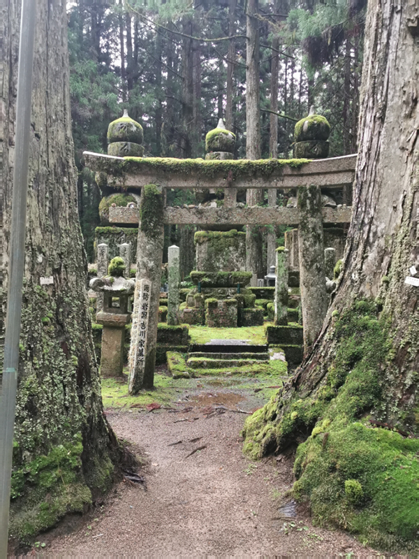 2024-10-29-14h56m51portable