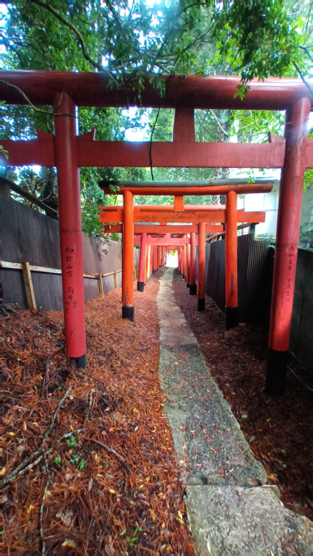 2024-10-30-09h32m20google