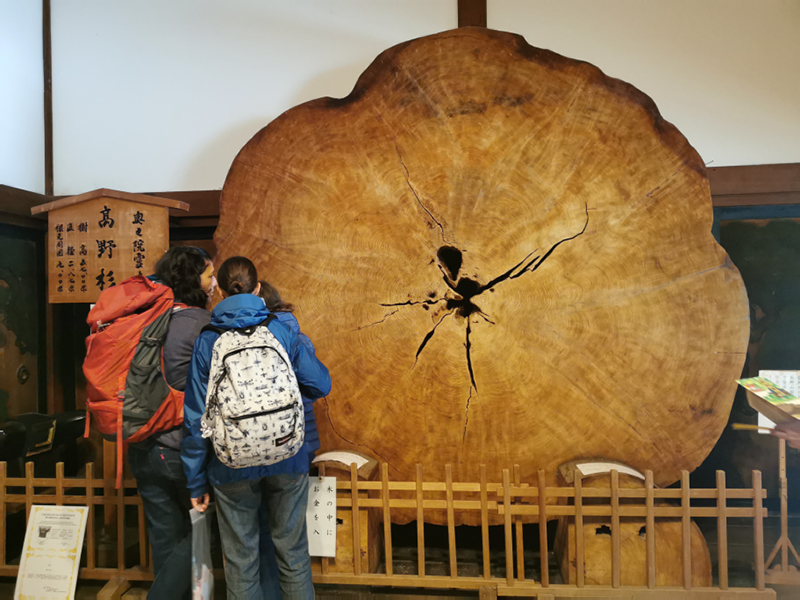 2024-10-30-10h49m42portable