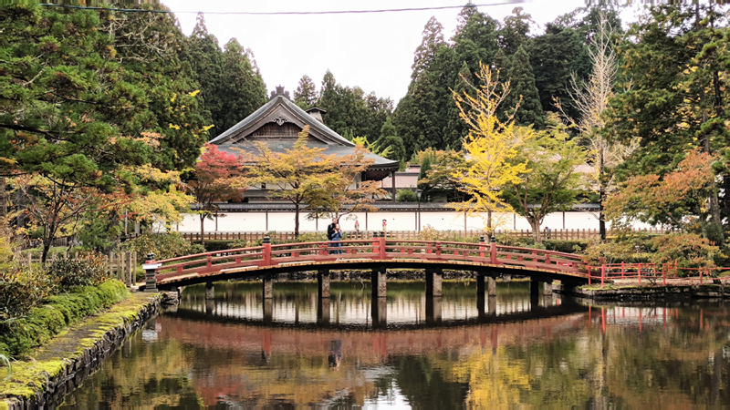 2024-10-30-11h58m29google