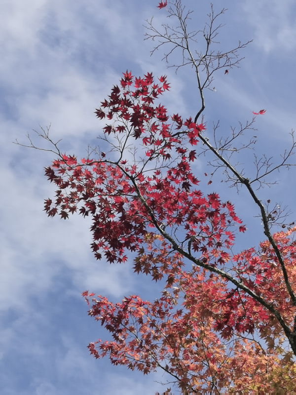 2024-10-30-13h39m26portable