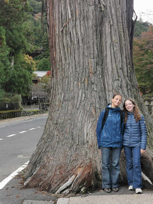 2024-10-30-13h58m31portable