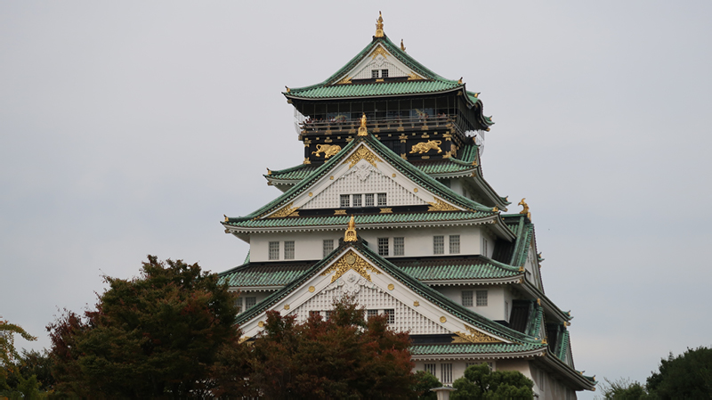 2024-10-31-08h30m03google