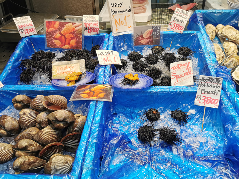 2024-10-31-13h18m05portable