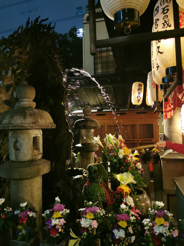 2024-10-31-20h13m15portable