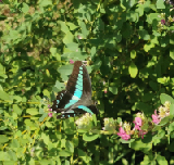 2024-10-20-13h20m59portable