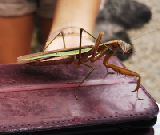 2024-10-27-11h54m48portable