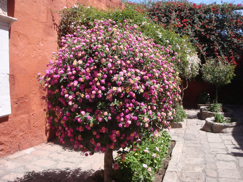 DSC01890