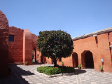DSC01888